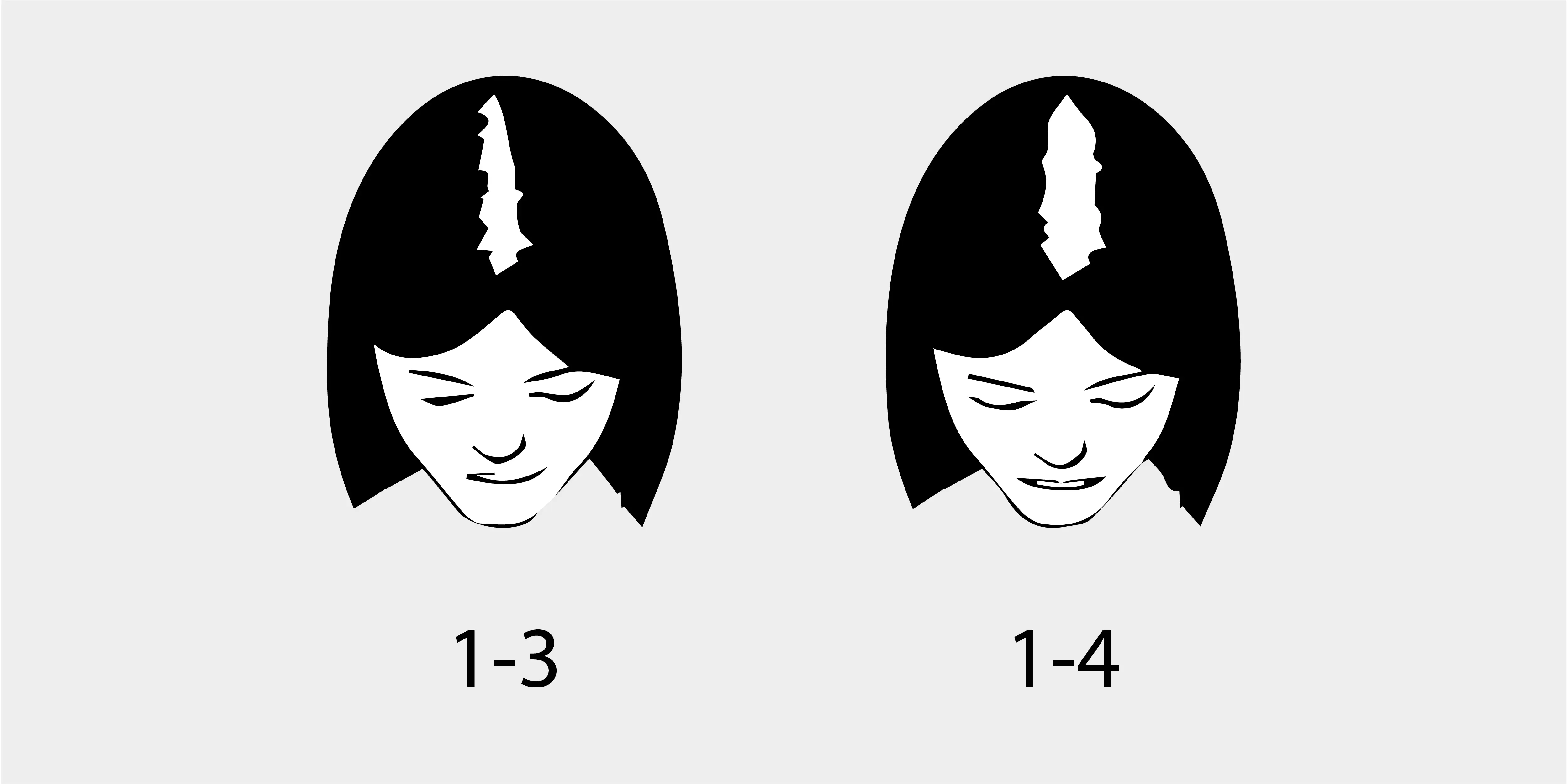 The Ludwig Scale